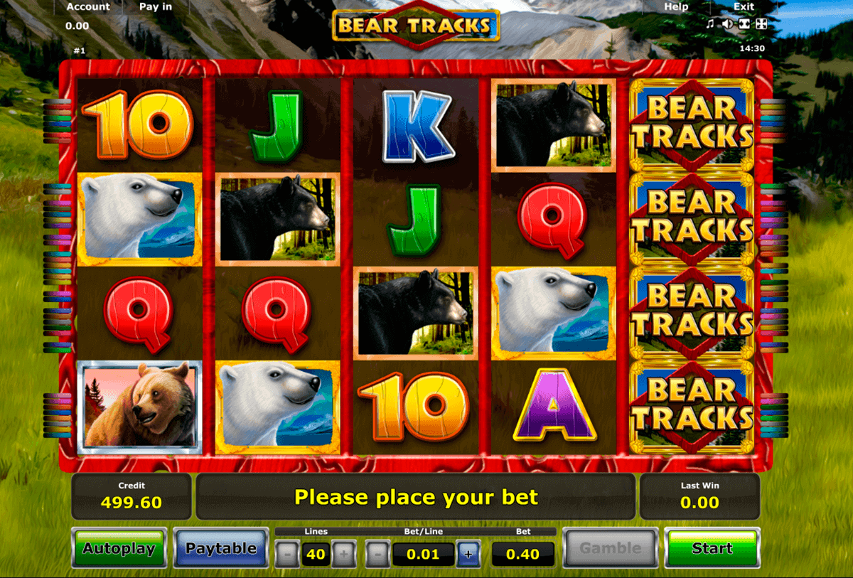 bear tracks novomatic gokkast