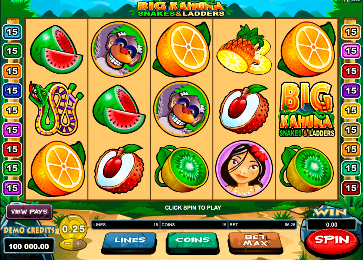big kahuna snakes and ladders microgaming gokkast