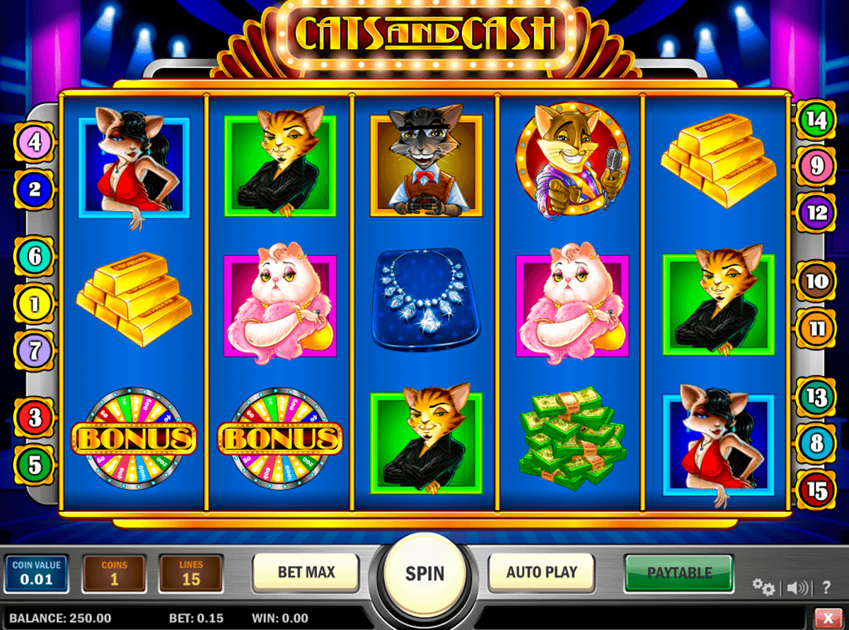 cats and cash playn go gokkast
