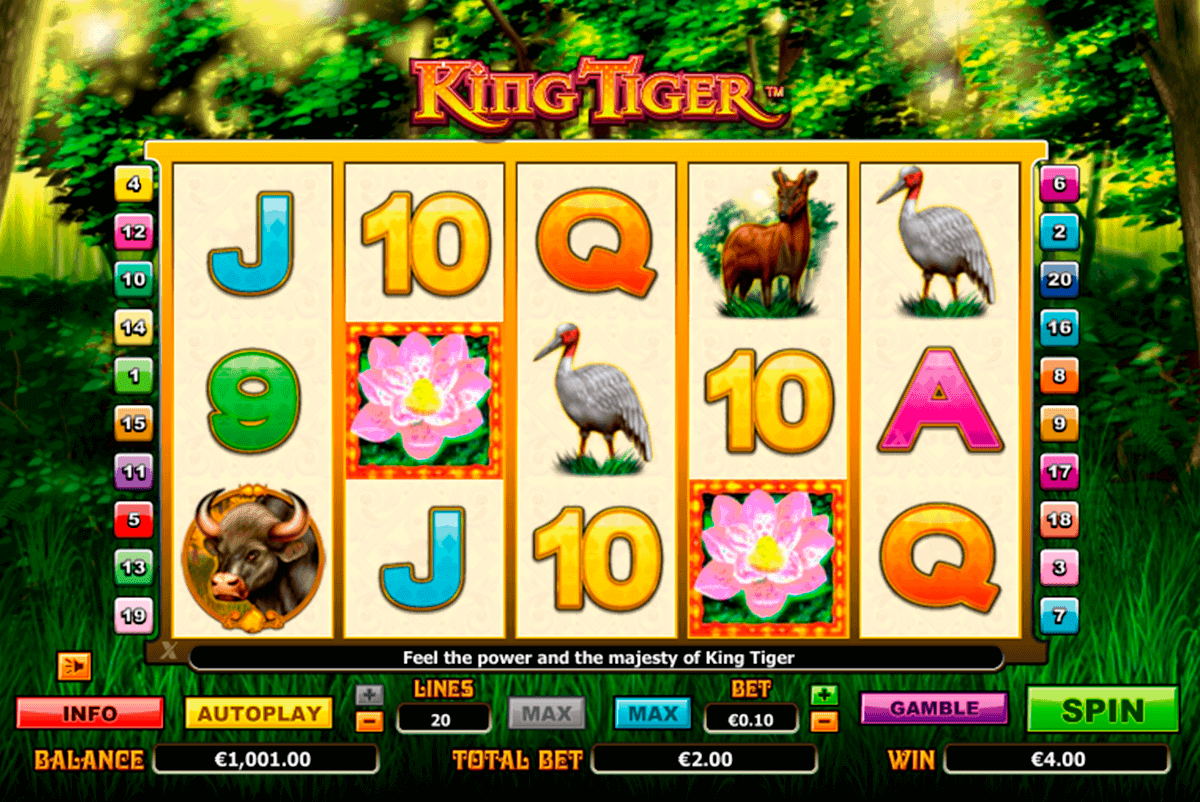 king tiger netgen gaming gokkast