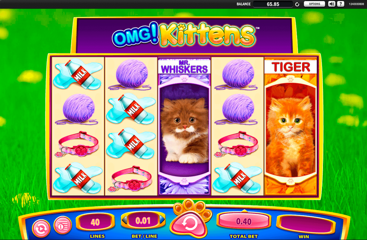 omg kittens wms gokkast