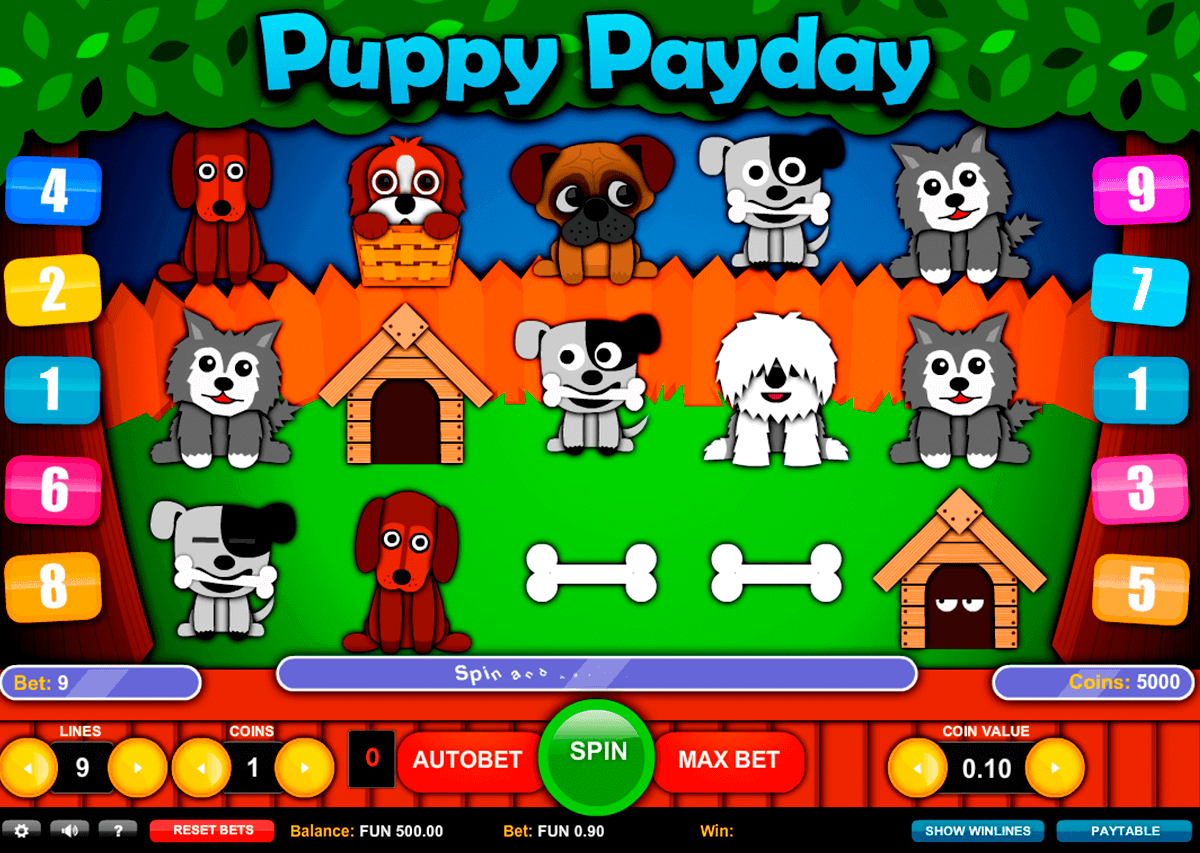 puppy payday gaming gokkast