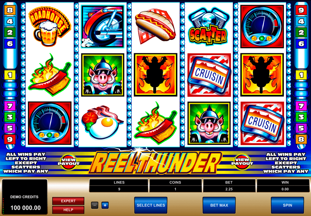 reel thunder microgaming gokkast