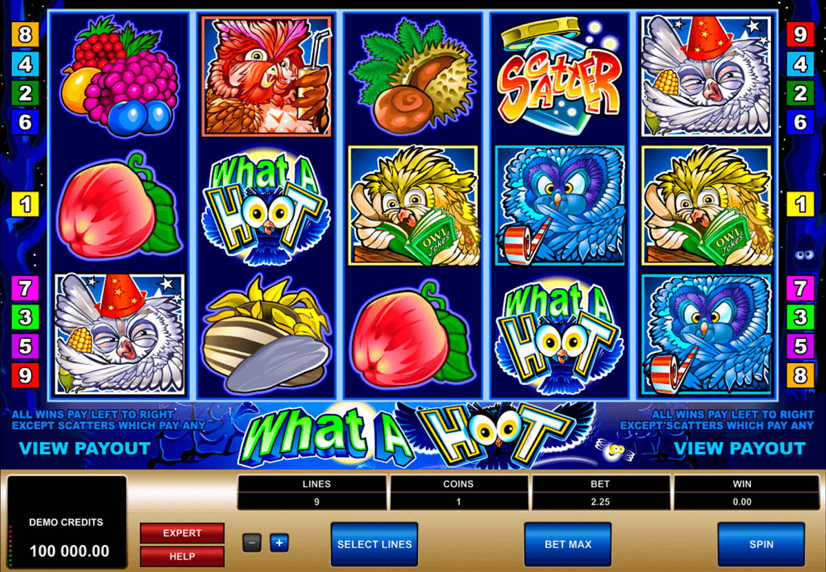 what a hoot microgaming gokkast
