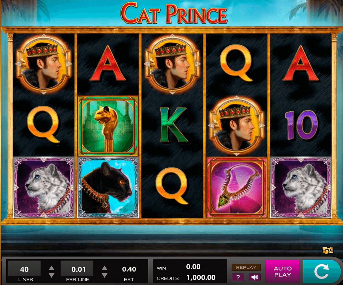 cat prince high5