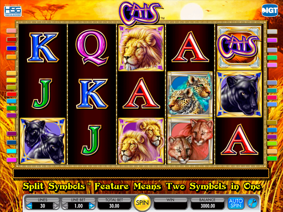 cats igt gokkast