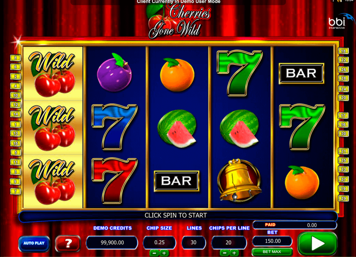 Fortune coin slot machine