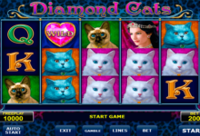 diamond cats amatic
