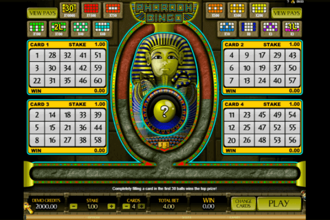 pharaoh bingo microgaming bingo