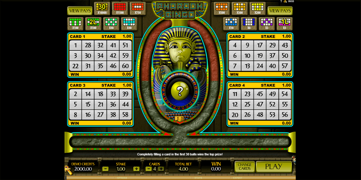 pharaoh bingo microgaming bingo 