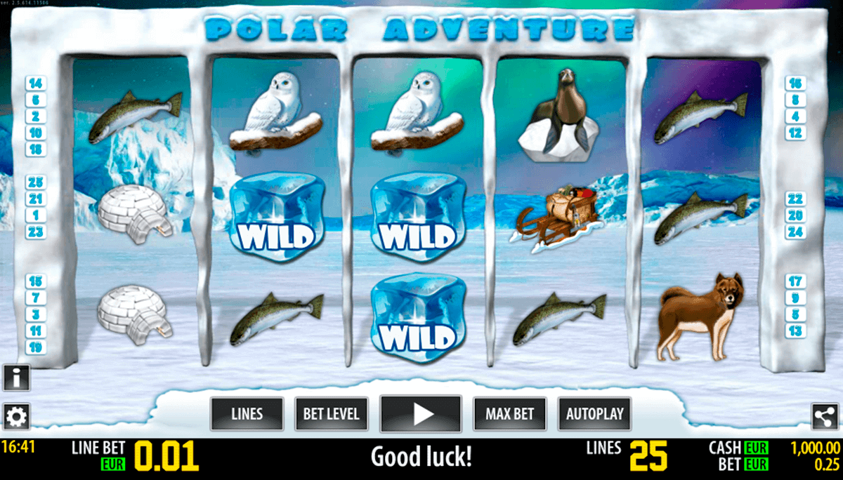 polar adventure hd world match gokkast