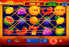 sunny fruits hold and win playson