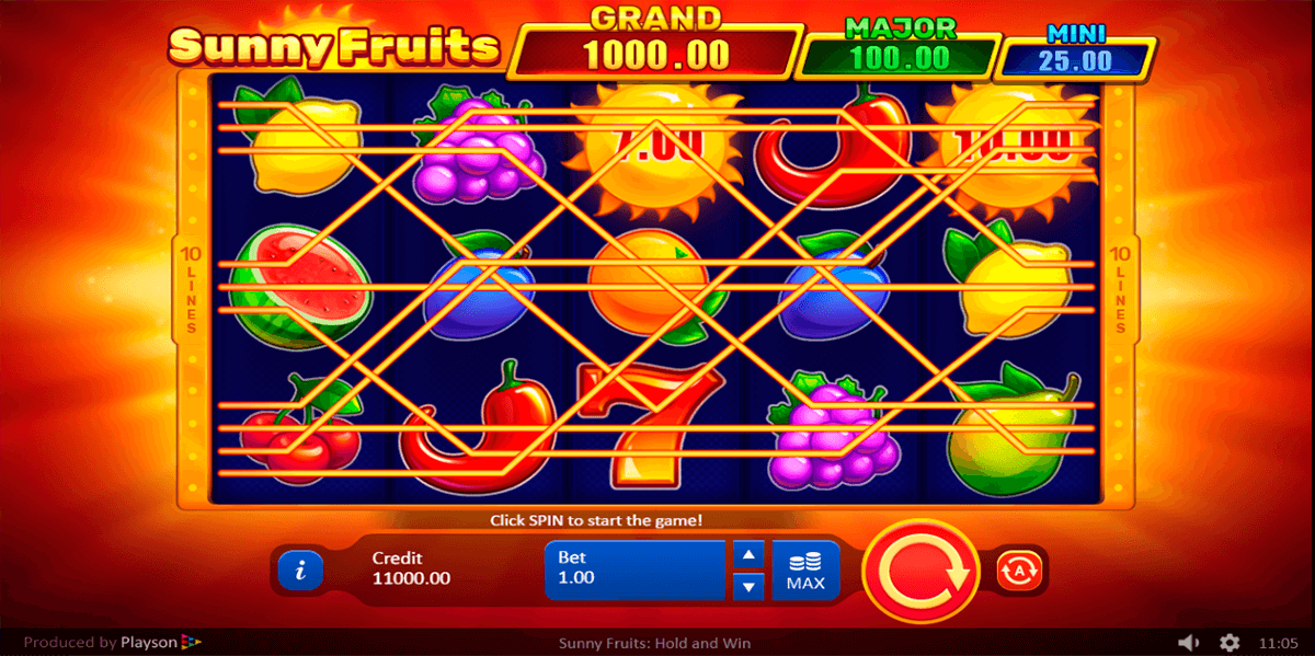 sunny fruits hold and win playson 